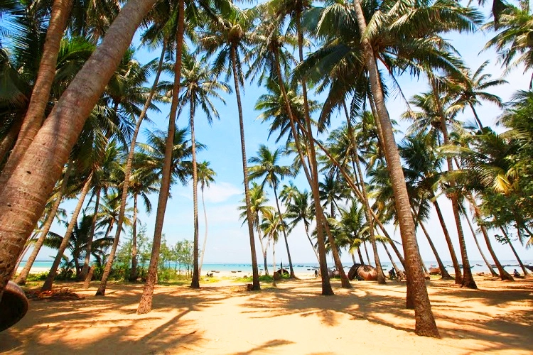 Xã đảo Tam Hải – Núi Thành – Quảng Nam